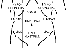 Abdominal Regions