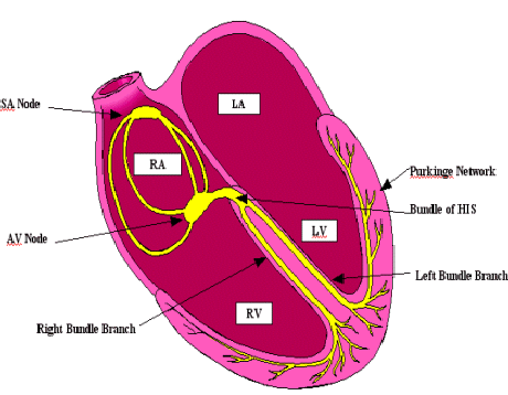 Electrical structure